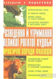Розведення й утримання великої рогатої худоби