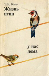 Жизнь птиц у нас дома
