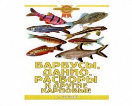 Барбусы, данио, расборы и другие карповые