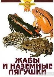 Жабы и наземные лягушки