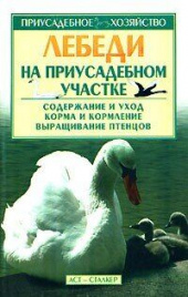 Лебеди на приусадебном участке