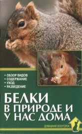 Белки в природе и у нас дома