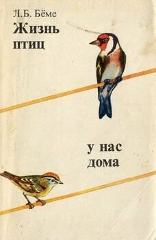 Жизнь птиц у нас дома фото 1